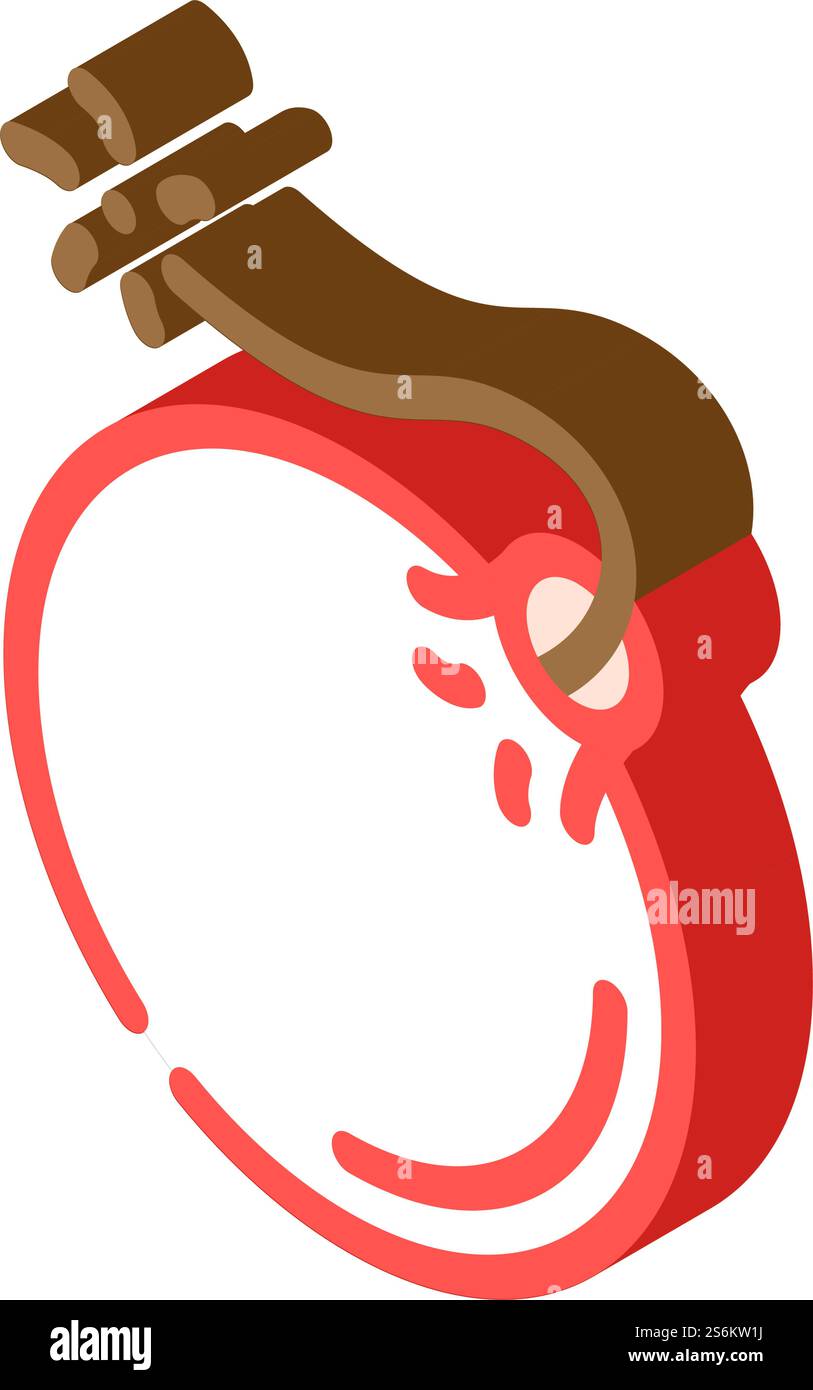 Bombenpirat isometrischer Iconvektor. Bombenpirat-Schild. Isolierte Symboldarstellung. Bombenpiraten isometrische Icon Vektor Illustration Stock Vektor