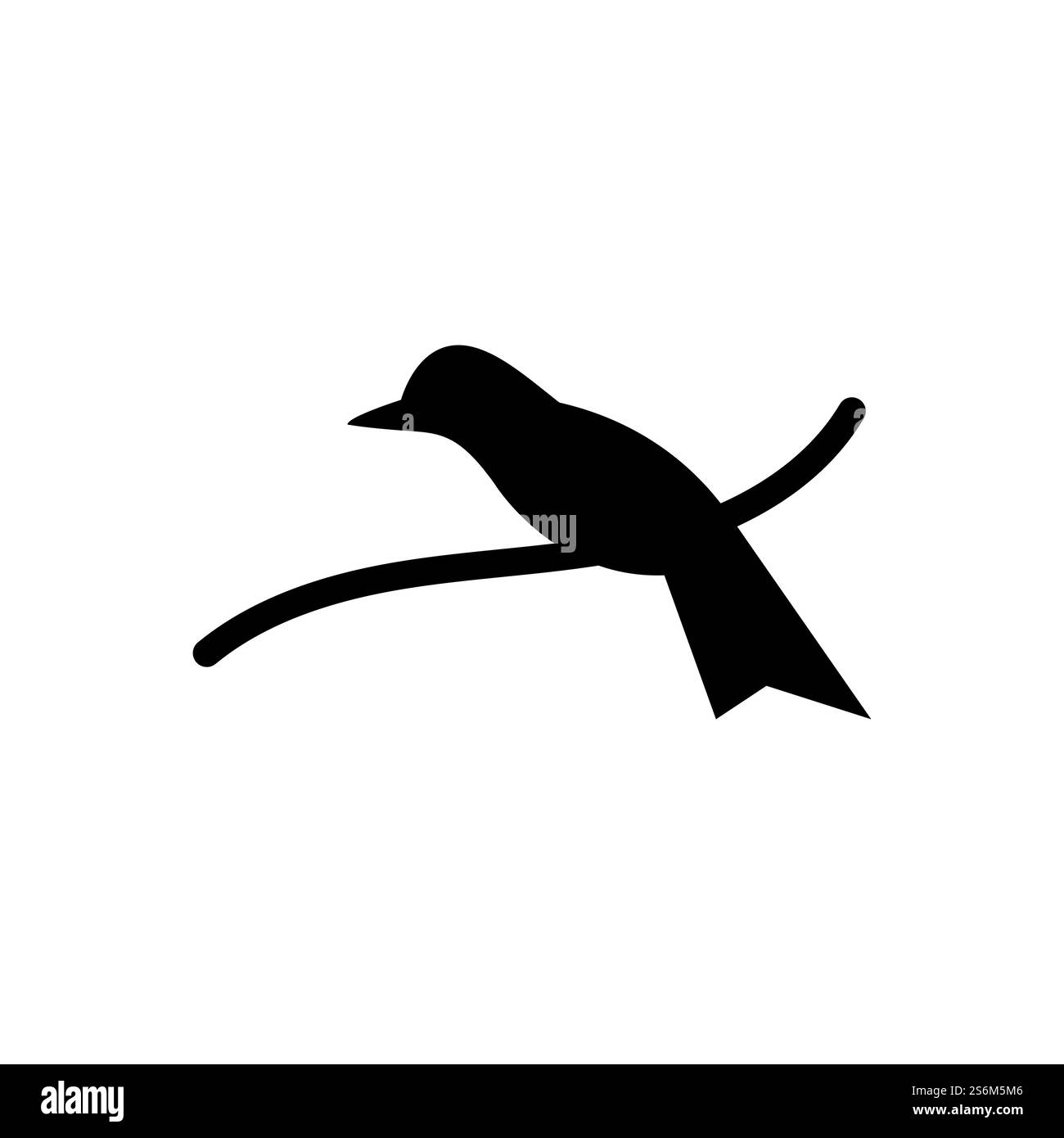 Bird Logo Template Design Vektor, Emblem, Design Konzept, Kreatives Symbol, Symbol Stock Vektor