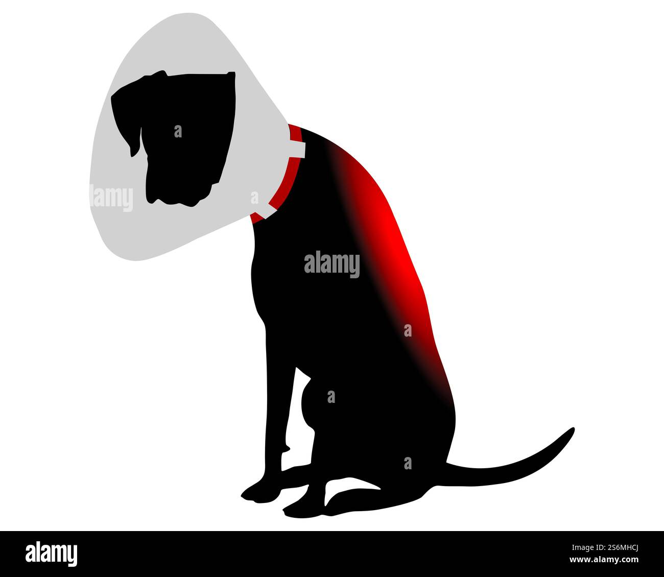 Hund mit Nackenstütze und Schmerzen im Rücken Stockfoto