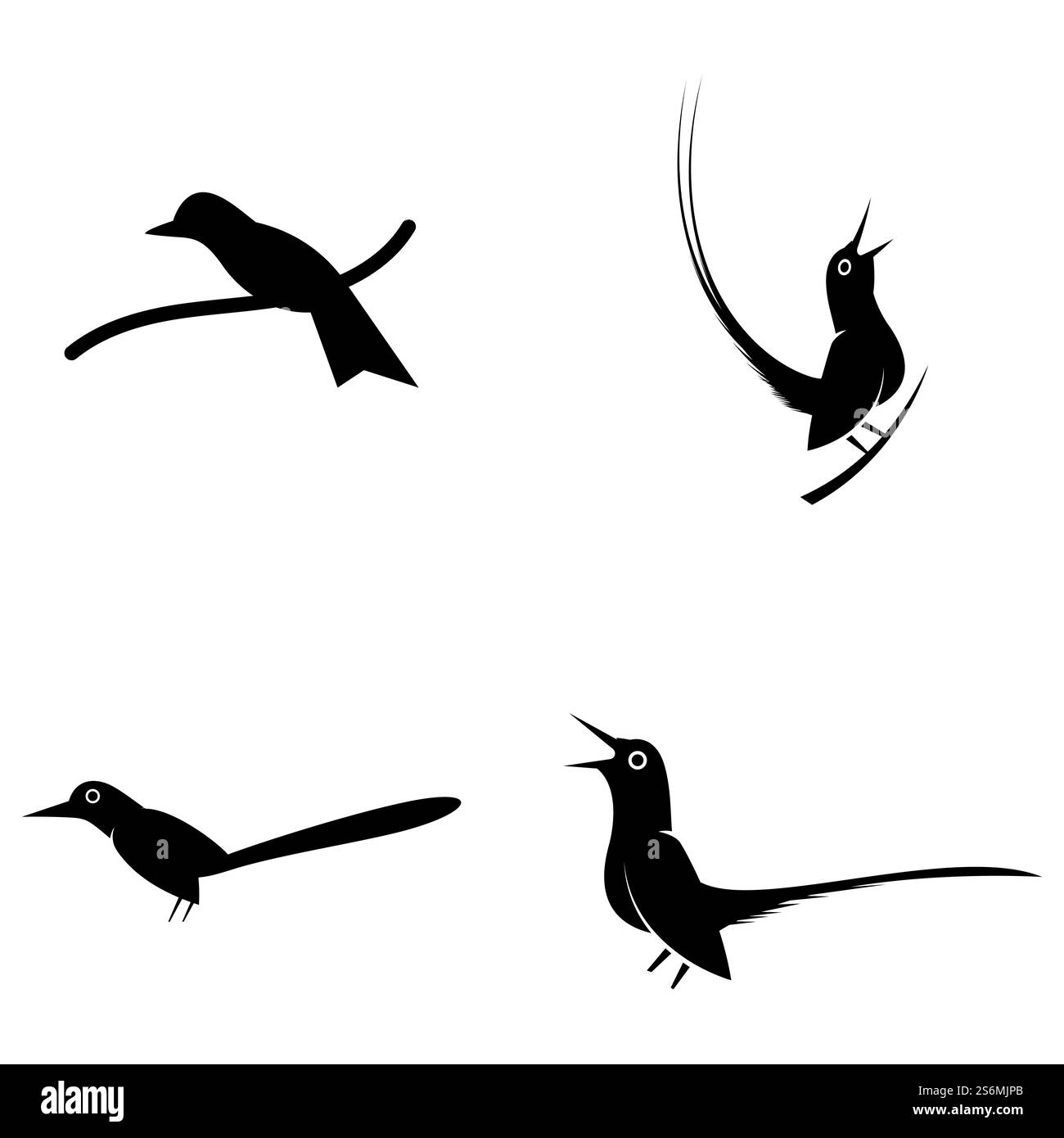 Bird Logo Template Design Vektor, Emblem, Design Konzept, Kreatives Symbol, Symbol Stock Vektor