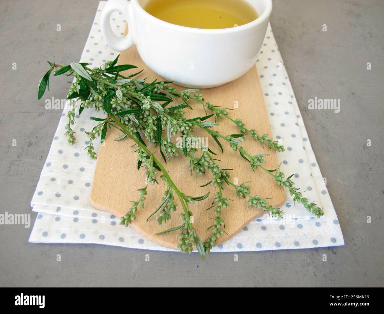 Tee mit frischem Beifuß-Kraut Stockfoto