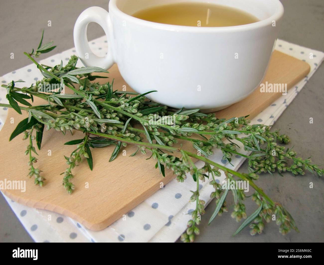 Tee mit frischem Beifuß-Kraut Stockfoto