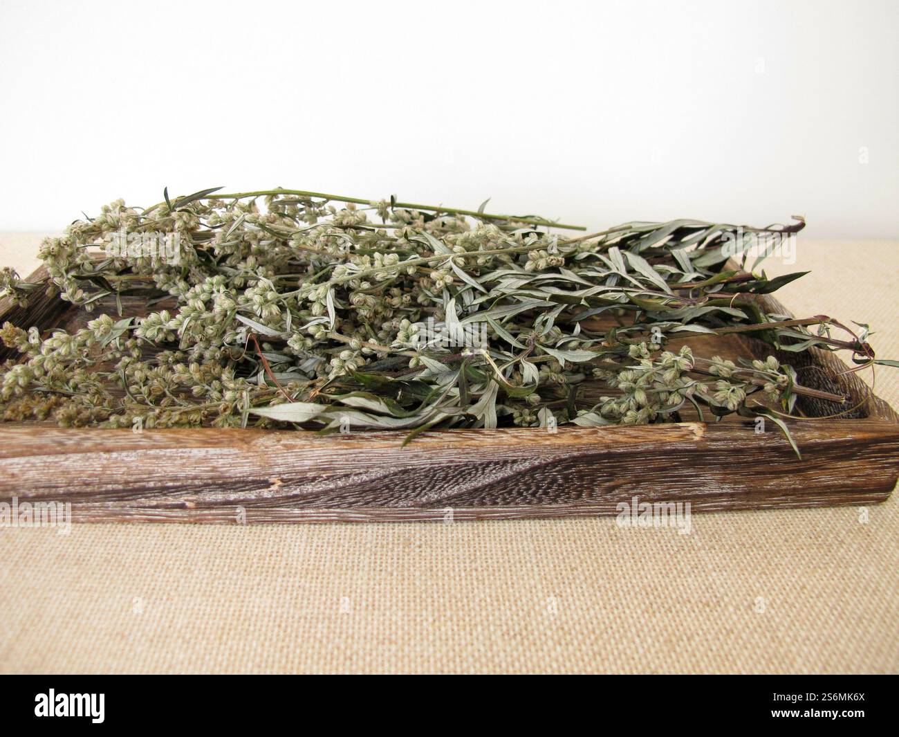 Getrockneter Beifuß auf einem kleinen Holztablett Stockfoto