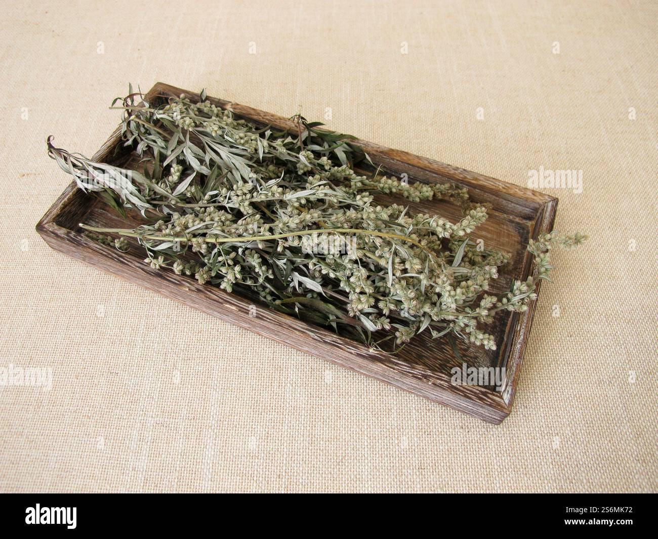 Getrockneter Beifuß auf einem kleinen Holztablett Stockfoto