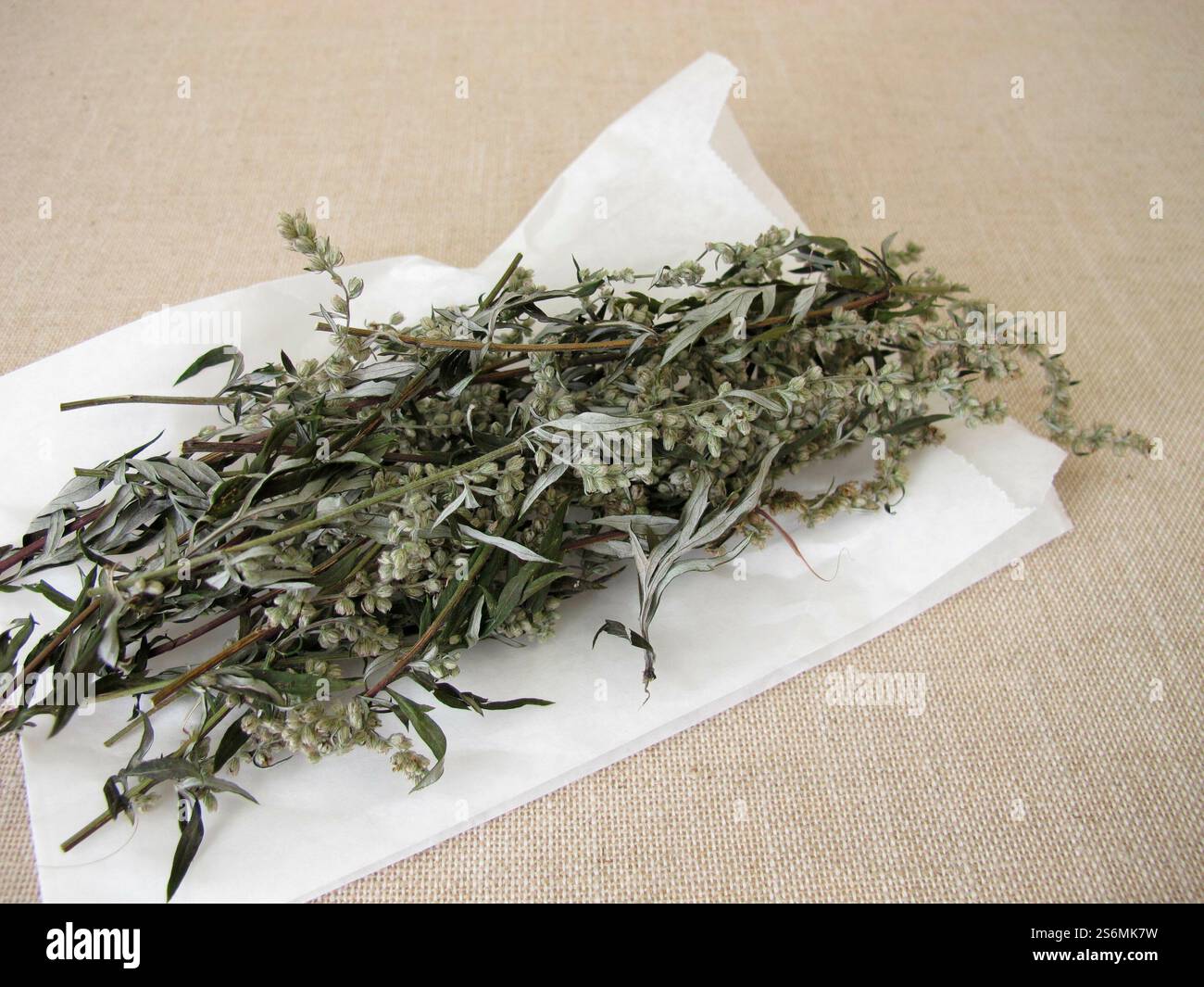 Getrockneter Beifuß und ein weißer Papierbeutel Stockfoto