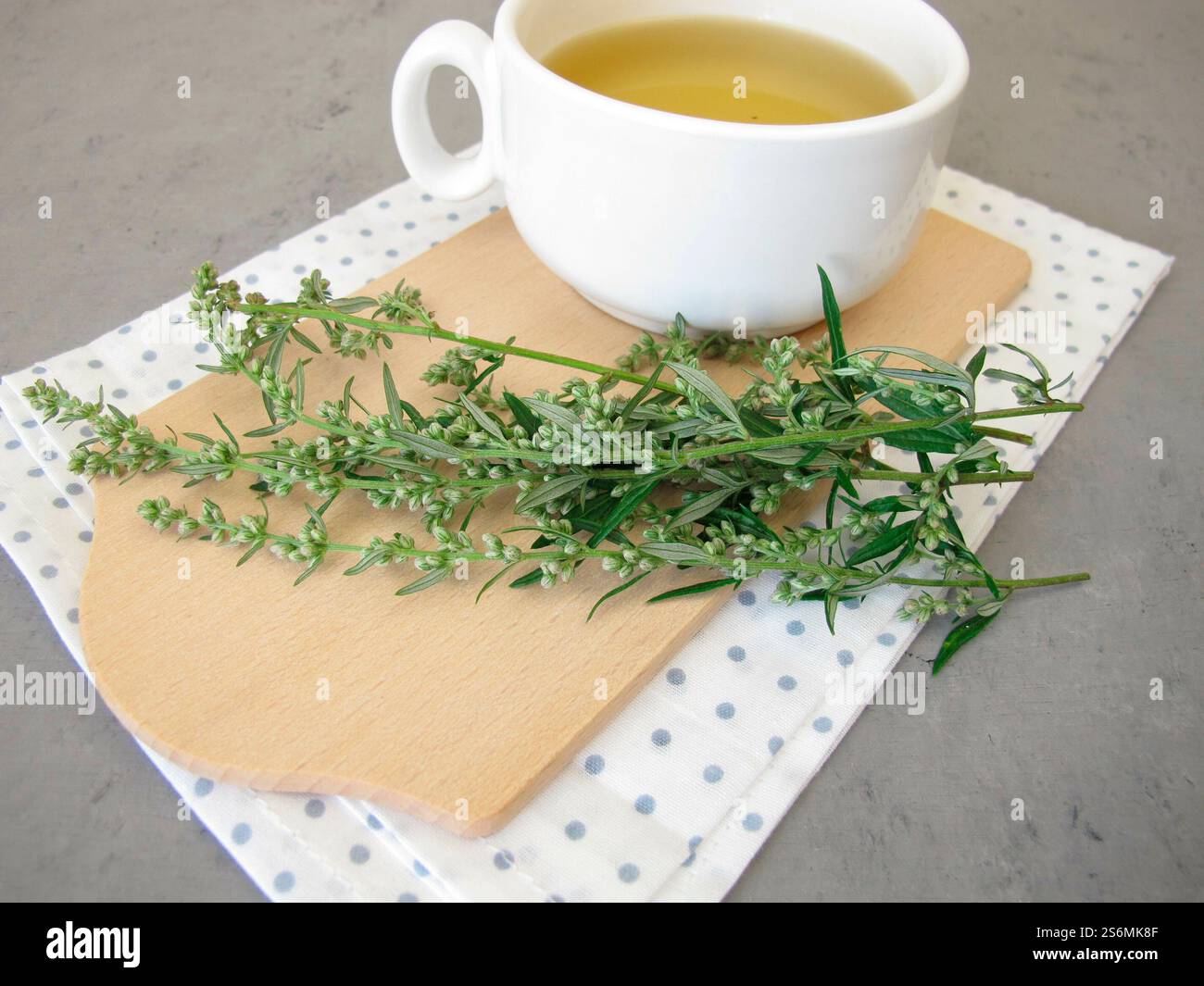 Tee mit frischem Beifuß-Kraut Stockfoto