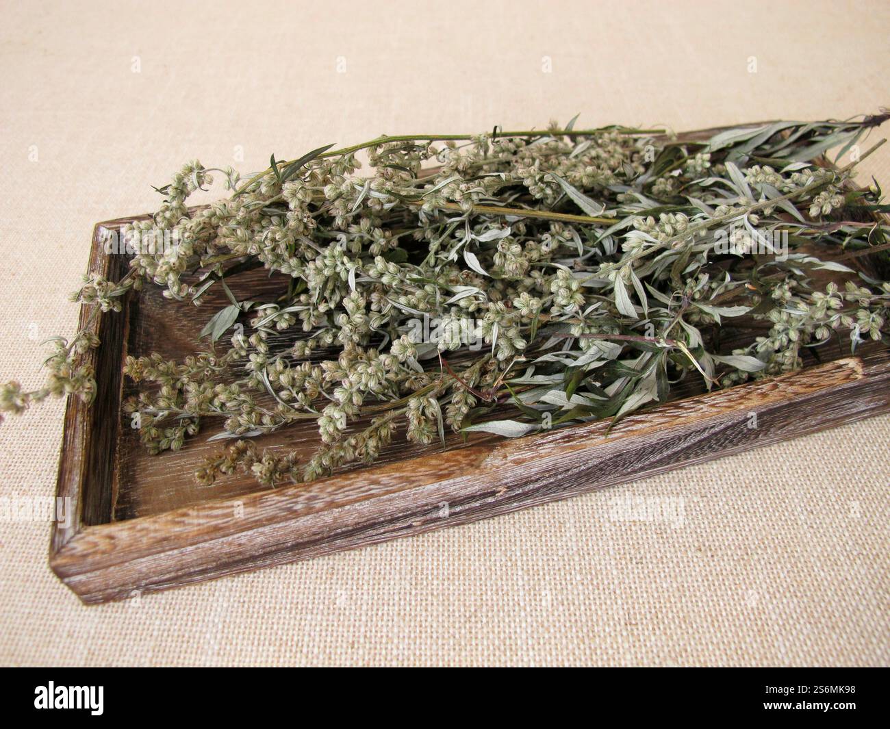 Getrockneter Beifuß auf einem kleinen Holztablett Stockfoto