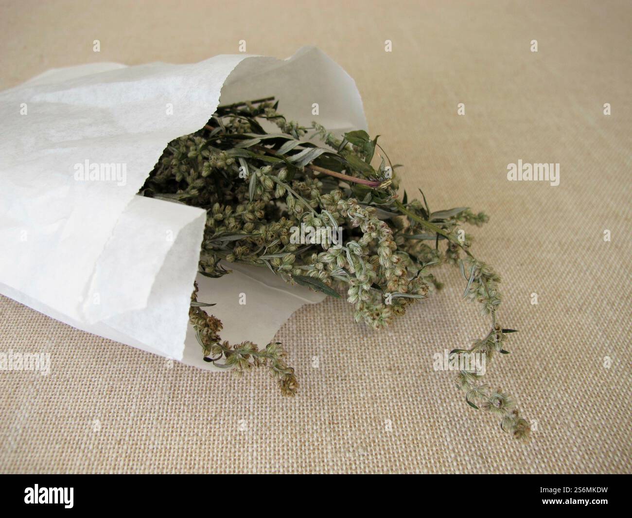 Getrockneter Beifuß und ein weißer Papierbeutel Stockfoto