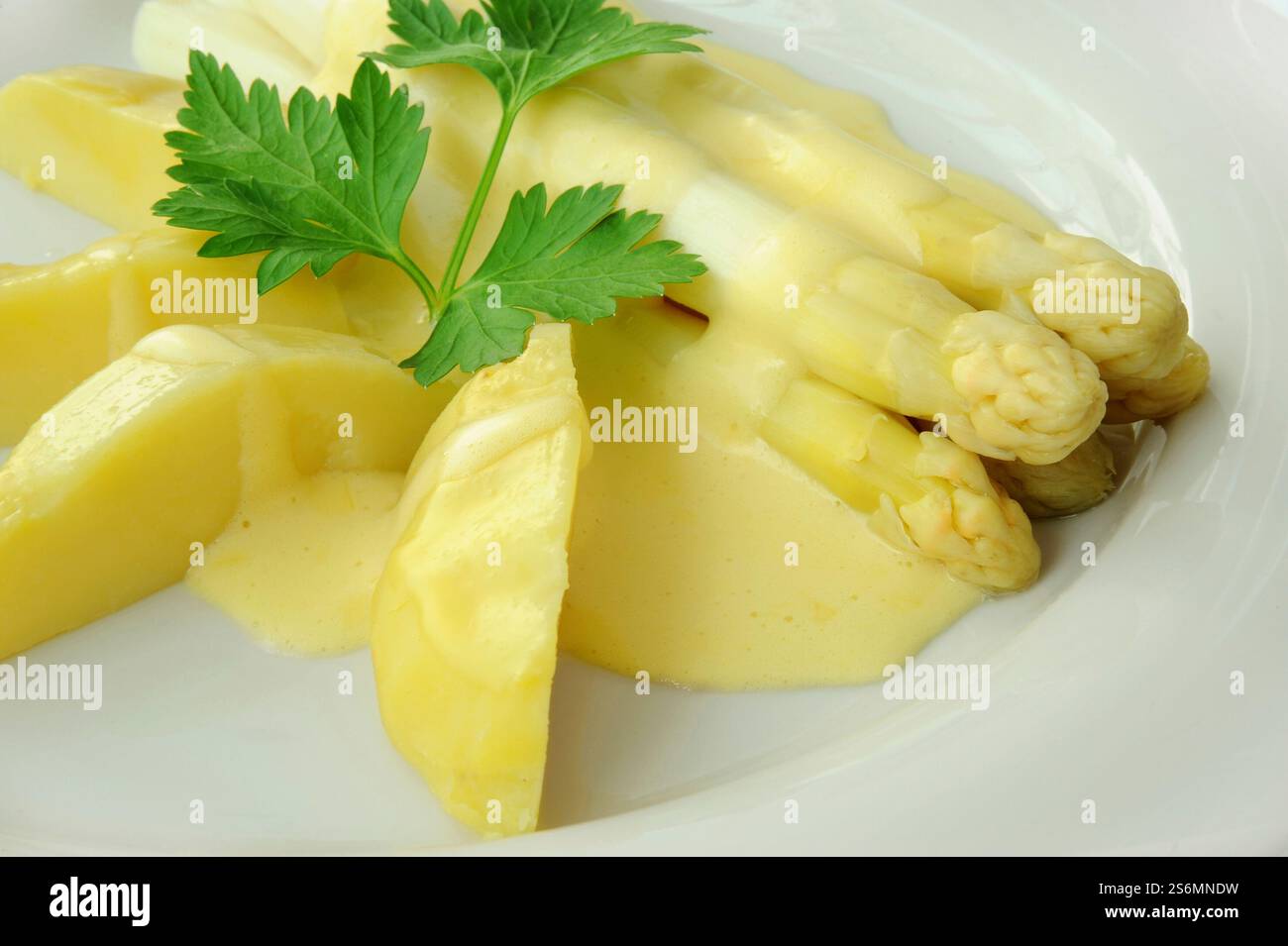 Spargel Stockfoto