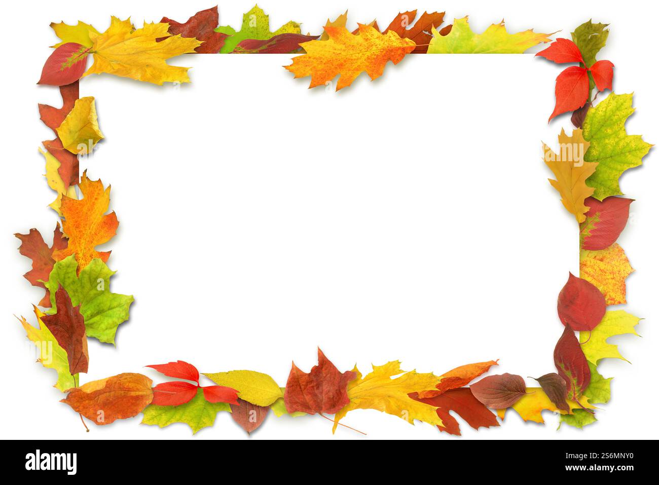 Werbung fällt Stockfoto