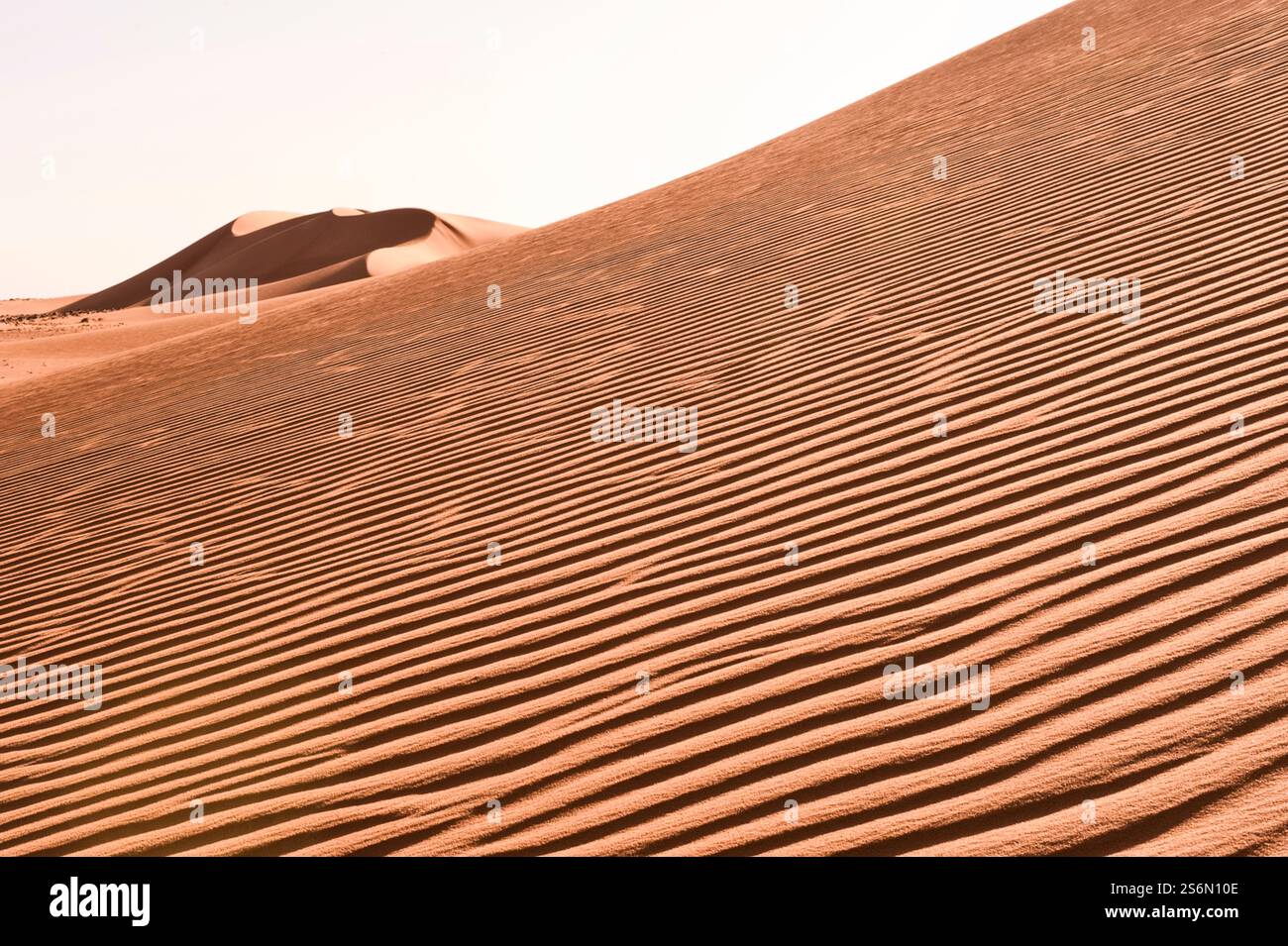 Strukturen im Sand einer sich bewegenden Düne Stockfoto