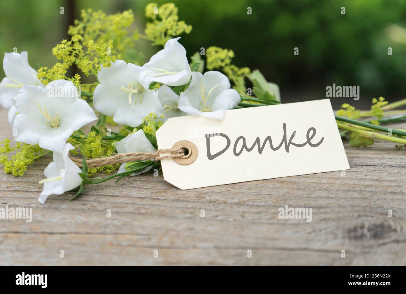 Grußkarte mit weißen Glockenblöcken und deutschem Text: Danke Stockfoto