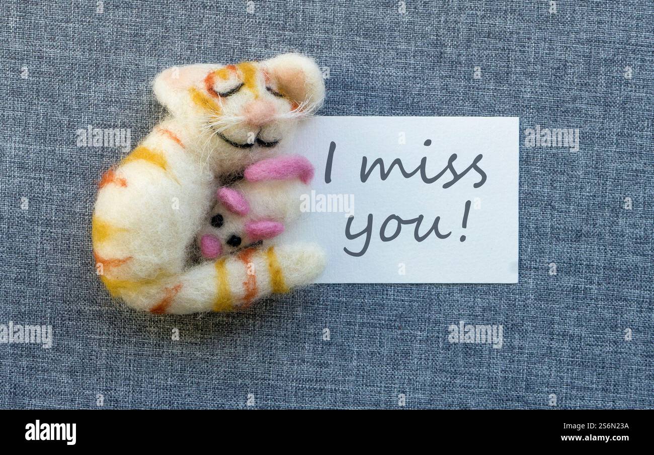 Karte mit Katze und Maus und englischer Text: I Miss you Stockfoto