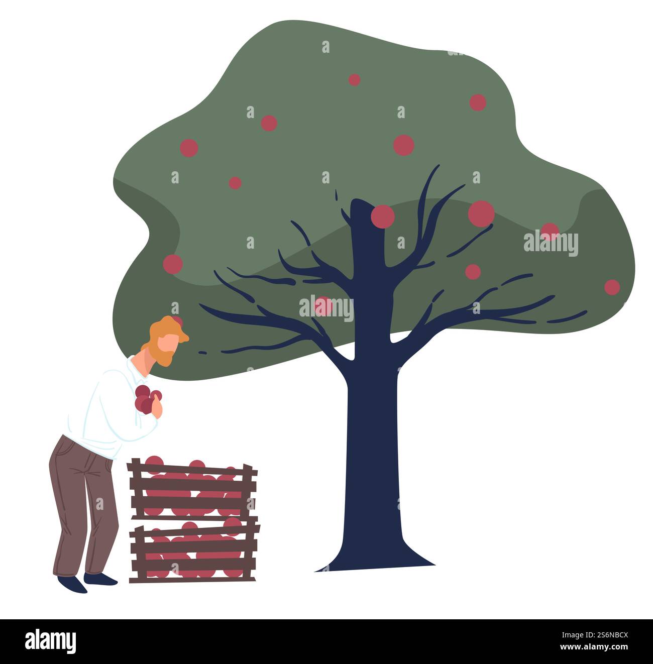 Erntezeit, Gärtner pflücken reife Äpfel vom Baum. Saisonarbeiter im Garten oder auf dem Hof, landwirtschaftliche Arbeit, die Früchte sammelt. Ökologische Landwirtschaft und Produktion, Landwirt mit Korbvektor in der Wohnung. Reife Äpfel vom Baum pflücken, männlich mit Früchten Stock Vektor