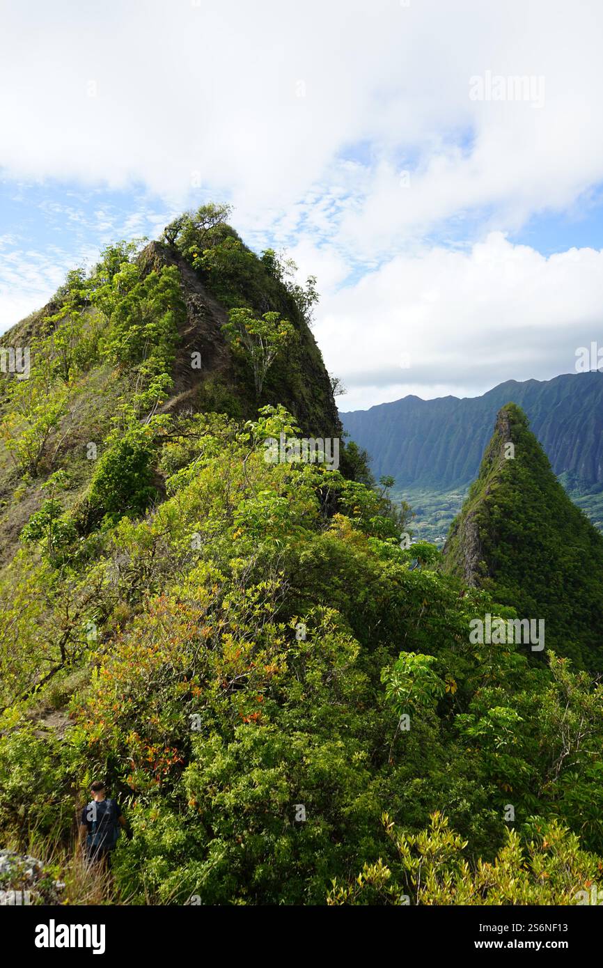 Atemberaubende Aussicht auf die 3-Gipfel-Wanderung auf Oahu, Hawaii, mit üppigen grünen Bergen, scharfen Graten und einer atemberaubenden tropischen Landschaft. Stockfoto