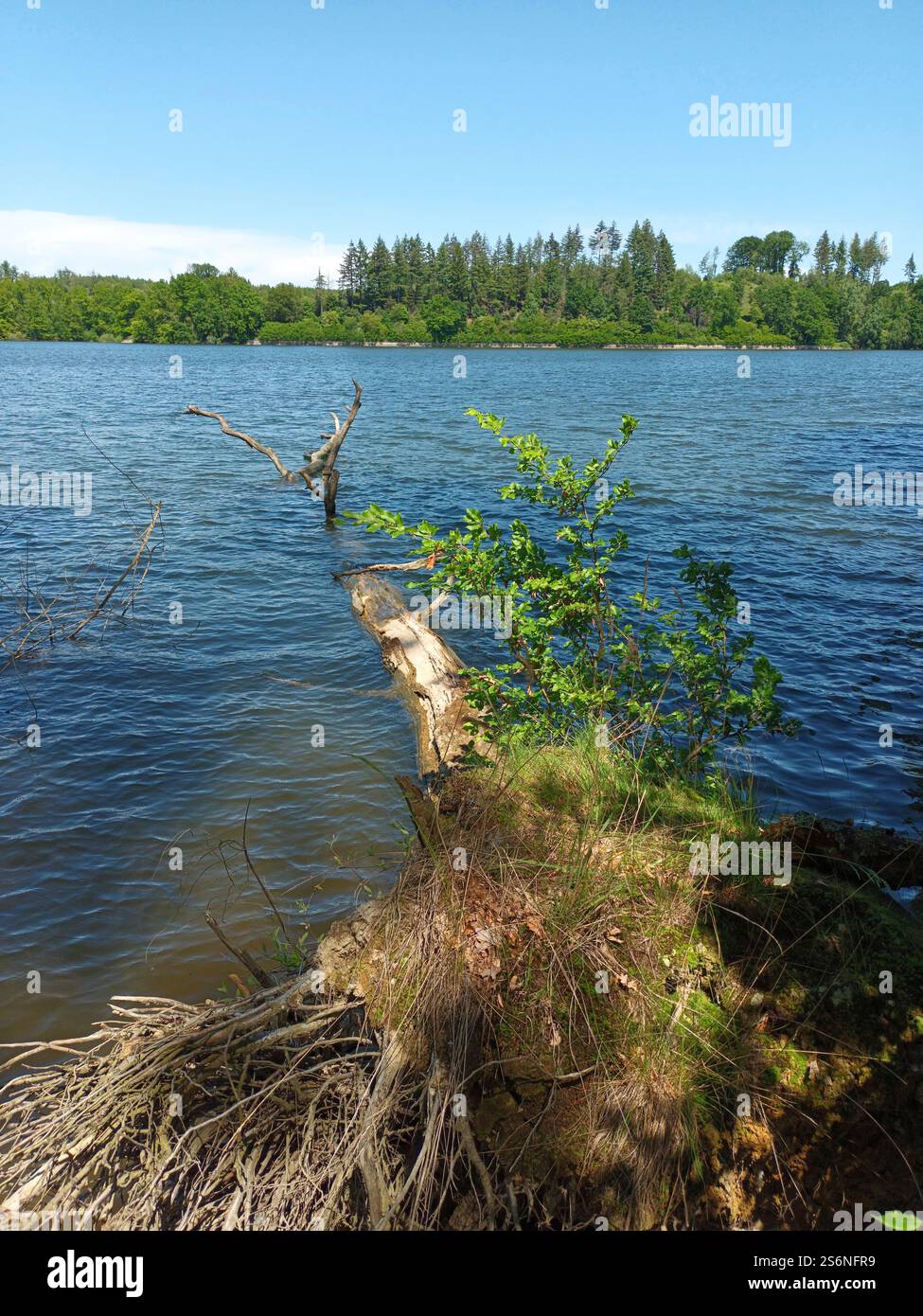 Blick auf den Möhnesee-Damm bei Sonnenschein Stockfoto
