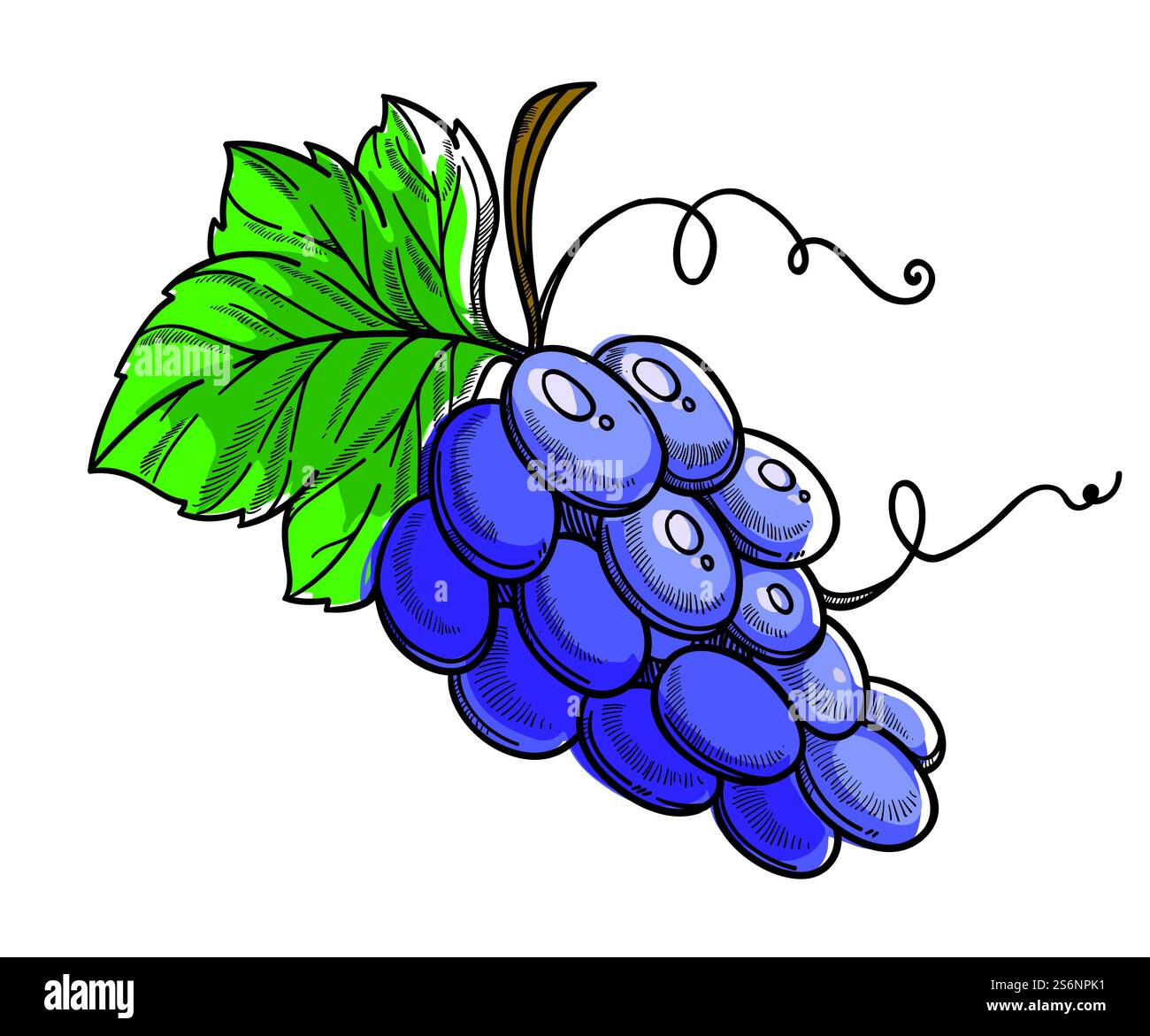 Reife Bio-Beeren mit Blättern, isolierter Brunch von saftigen Trauben. Erntezeit oder gesunde Ernährung, vegetarische oder vegane Menüs. Köstliches Essen zum Entgiften und Diäten, Vektor in flacher Form. Reifer Brunch von Trauben, saftiger Bio-Obstvektor Stock Vektor
