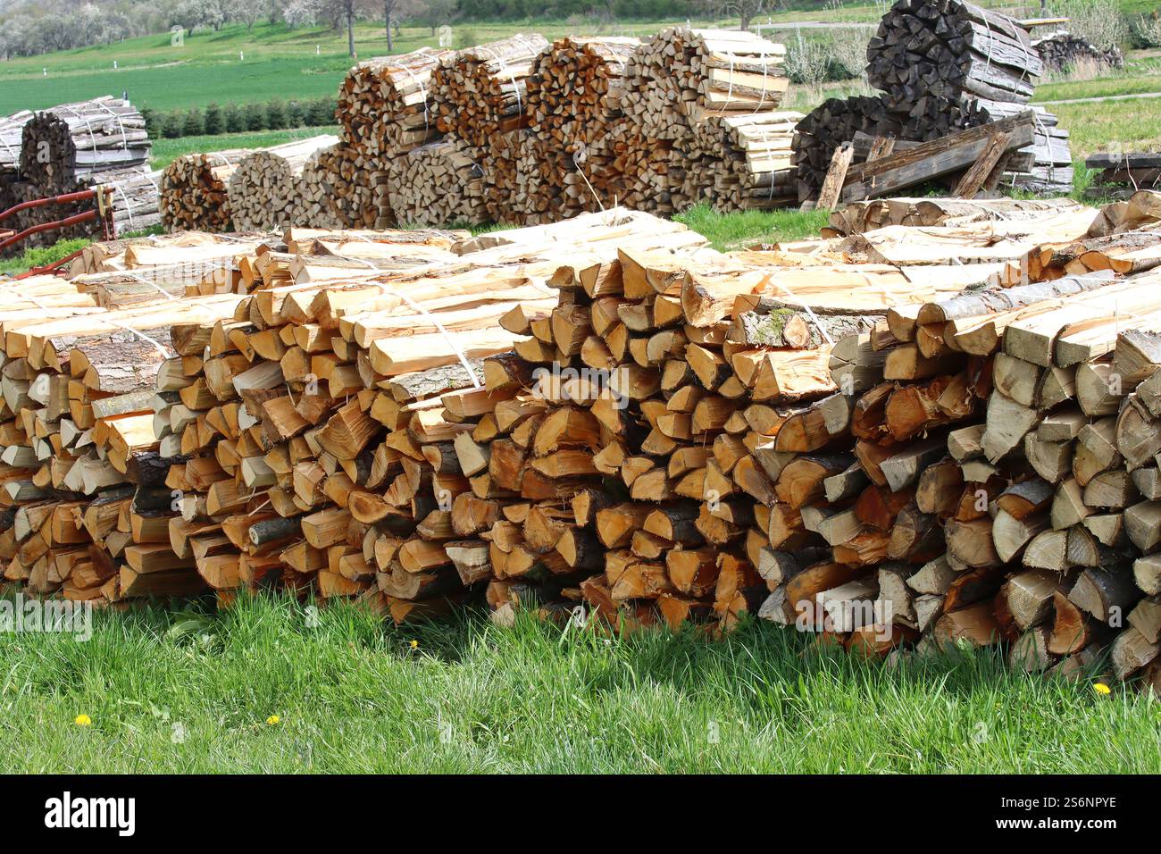 Nachwachsende Rohstoffe Brennholz Stockfoto
