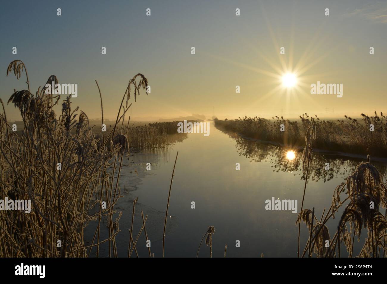Eine ruhige Landschaft am frühen Morgen mit einem ruhigen Wasserweg umgeben von hohem, frostbedecktem Schilf. Die Sonne ist tief am Himmel und wirft ein goldenes Licht. Stockfoto