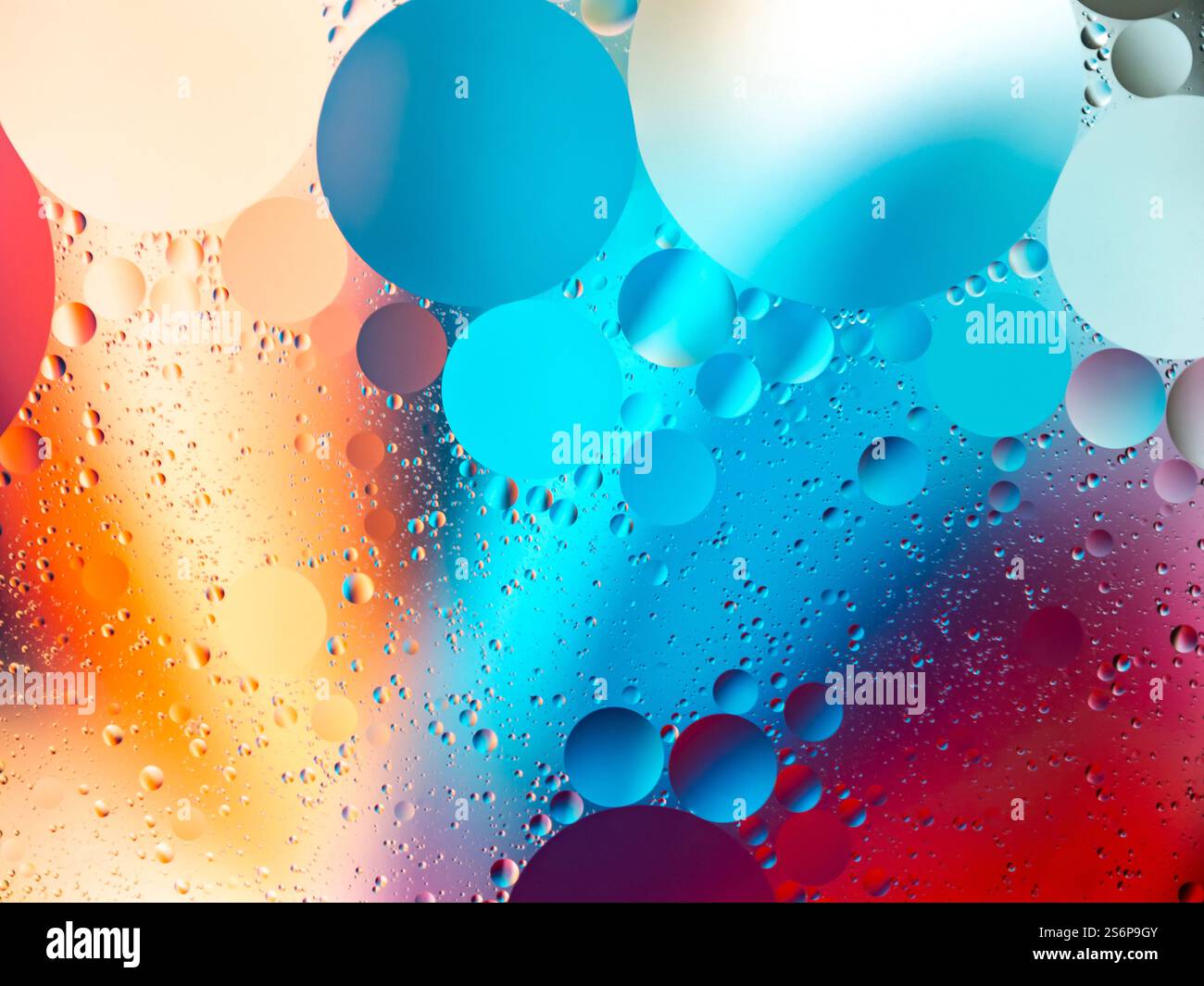 Abstraktes Bild mit kreisförmigen Formen, die durch Öl- und Wasserinteraktionen entstanden sind, mit leuchtenden, farbenfrohen Rot-, Blau- und Orangetönen für künstlerische Zwecke Stockfoto