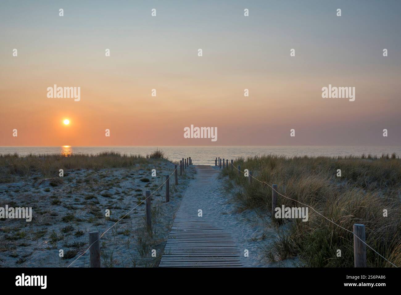 Der Weg zum Meer im etwas trüben Abendlicht Stockfoto