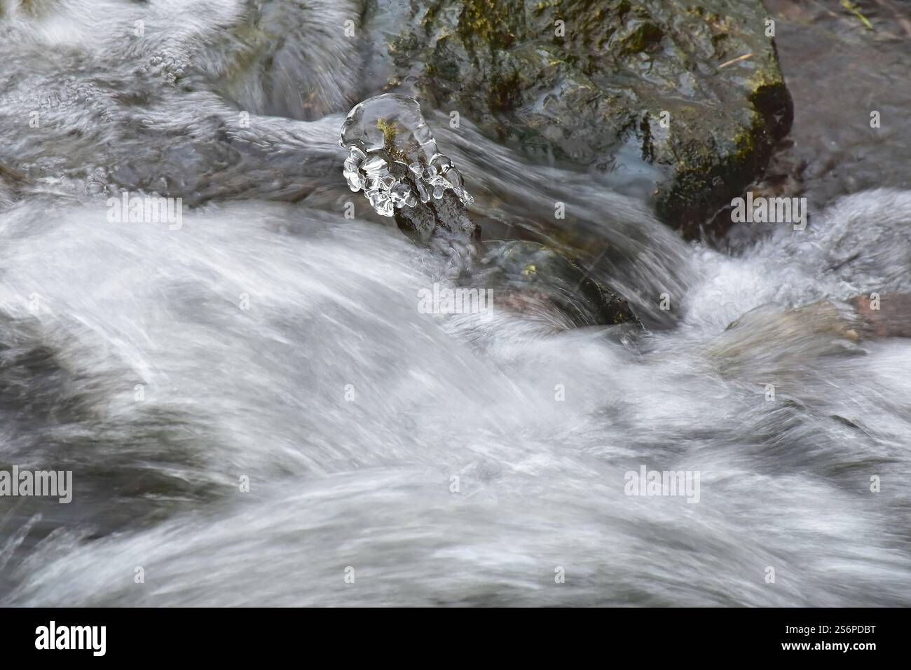 Eiskristalle am Ufer eines schnell fließenden Baches Stockfoto