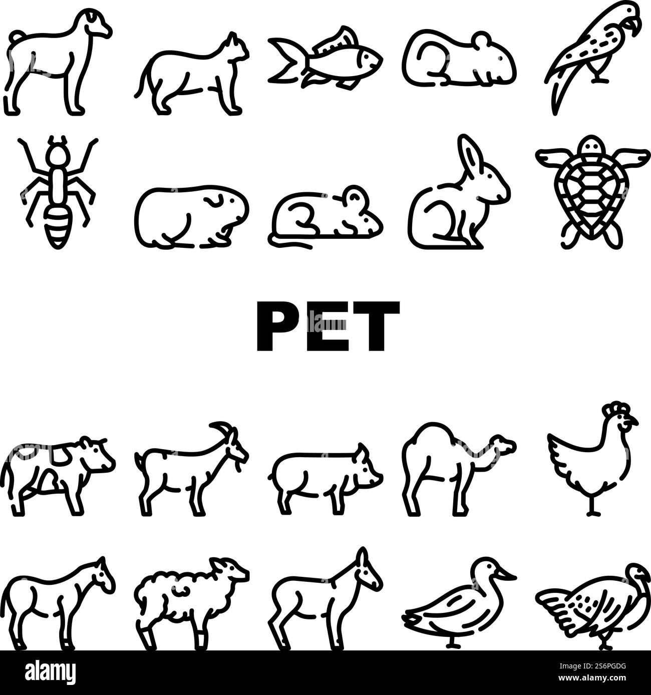 Haustier, Bauernhof Und Meer Aqua Icons Set Vektor. Mäuse Und Hamster, Hündchen Und Katzenkitte, Haustier, Pferd Und Kamel, Papagei Und Hühnervogel, Schildkröte Und Aquarium Fisch Kontur Illustrationen. Haustier, Bauernhof Und Meer Aqua Icons Set Vektor Stock Vektor