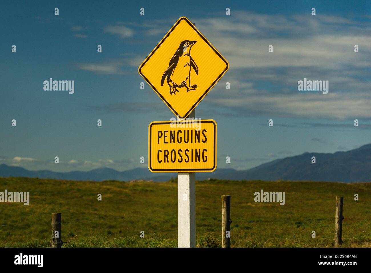 Ein Straßenschild warnt vor Pinguinen, die die Straße überqueren könnten. Das Schild „Pinguins Crossing“ befindet sich auf der linken Straßenseite. Berge und blauer Himmel sind im Hintergrund zu sehen. Stockfoto