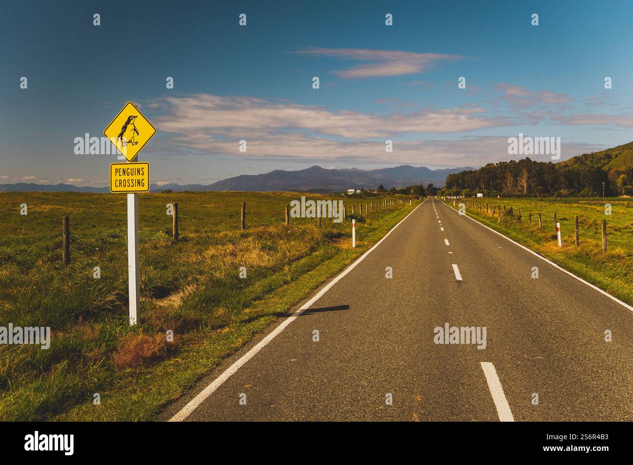 Ein Straßenschild warnt vor Pinguinen, die die Straße überqueren könnten. Das Schild „Pinguins Crossing“ befindet sich auf der linken Straßenseite. Berge und blauer Himmel sind im Hintergrund zu sehen. Stockfoto