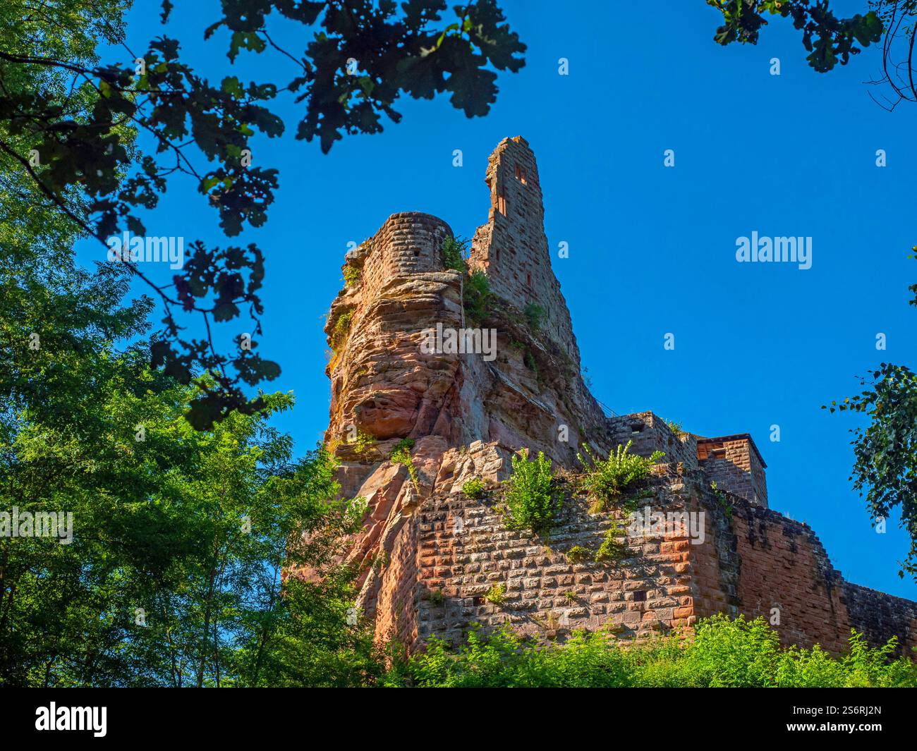 Schloss Fort de Fleckenstein, Lembach, Unterrhein, Elsass, Vogesen, Grand Est, Elsass-Champagne-Ardenne-Lothringen Stockfoto
