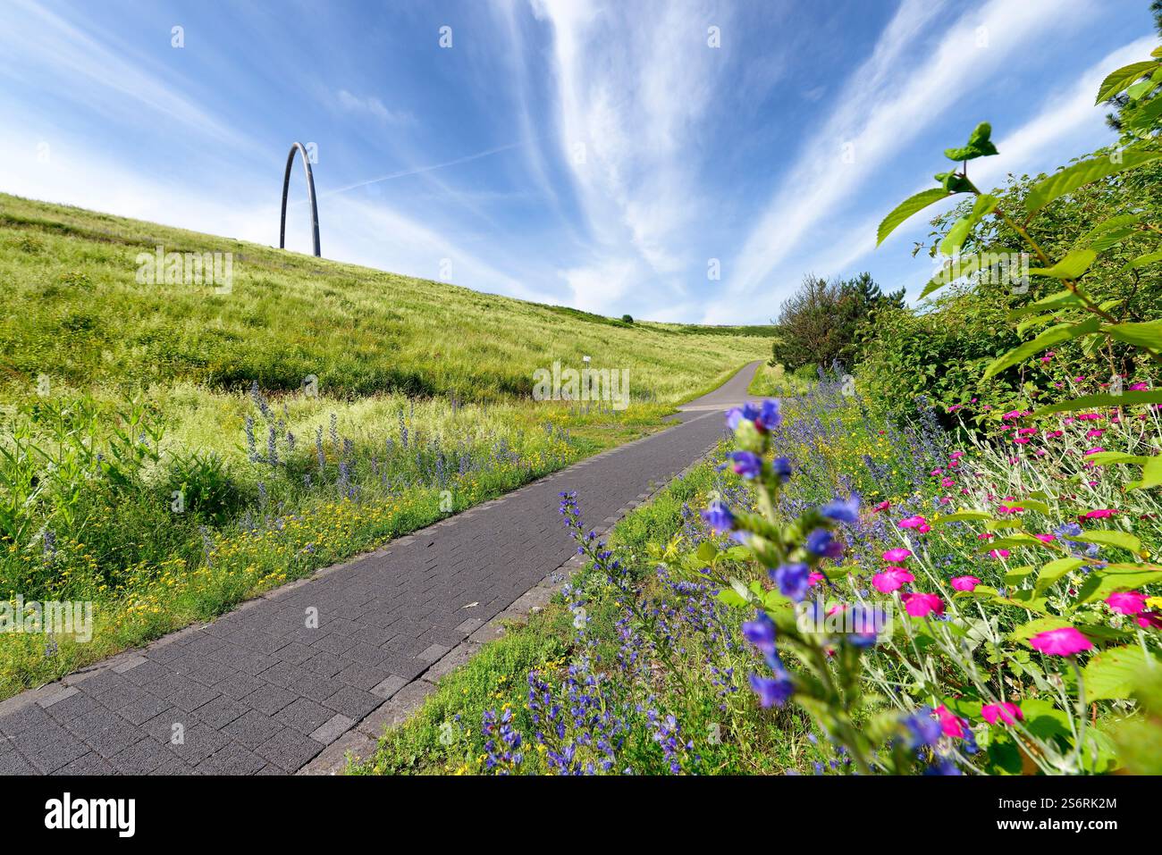 Blick auf die Hoheward-Ausgrabungsspitze, Hoheward Landschaftspark, Herten, Ruhrgebiet, Nordrhein-Westfalen, Deutschland Stockfoto