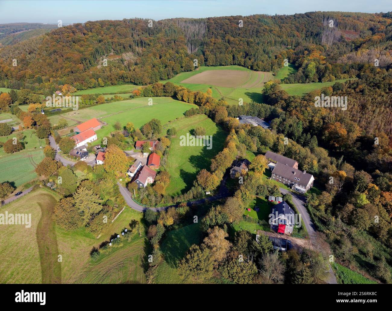 Blick auf Elfringhauser Schweiz im Herbst, Oberelfringhausen, Landkreis Hattingen, Landkreis Ennepe-Ruhr, Ruhrgebiet, Nordrhein-Westfalen, Deutschland Stockfoto Blick auf Elfringhauser Schweiz im Herbst, Oberelfringhausen, Landkreis Hattingen, Landkreis Ennepe-Ruhr, Ruhrgebiet, Nordrhein-Westfalen, Deutschland Stockfoto
