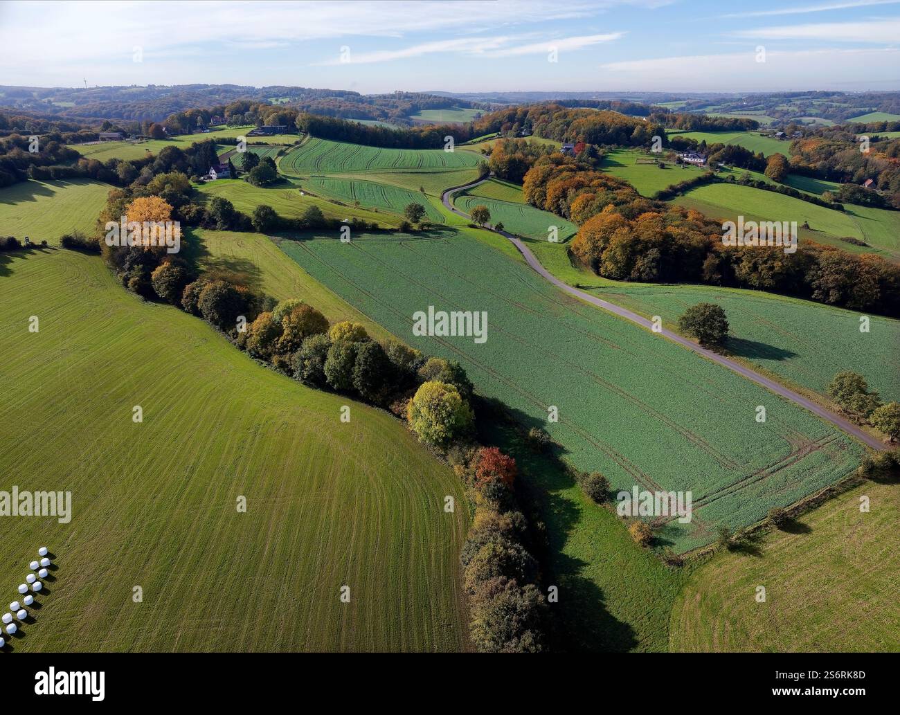 Blick auf Elfringhauser Schweiz im Herbst, Oberelfringhausen, Landkreis Hattingen, Landkreis Ennepe-Ruhr, Ruhrgebiet, Nordrhein-Westfalen, Deutschland Stockfoto Blick auf Elfringhauser Schweiz im Herbst, Oberelfringhausen, Landkreis Hattingen, Landkreis Ennepe-Ruhr, Ruhrgebiet, Nordrhein-Westfalen, Deutschland Stockfoto