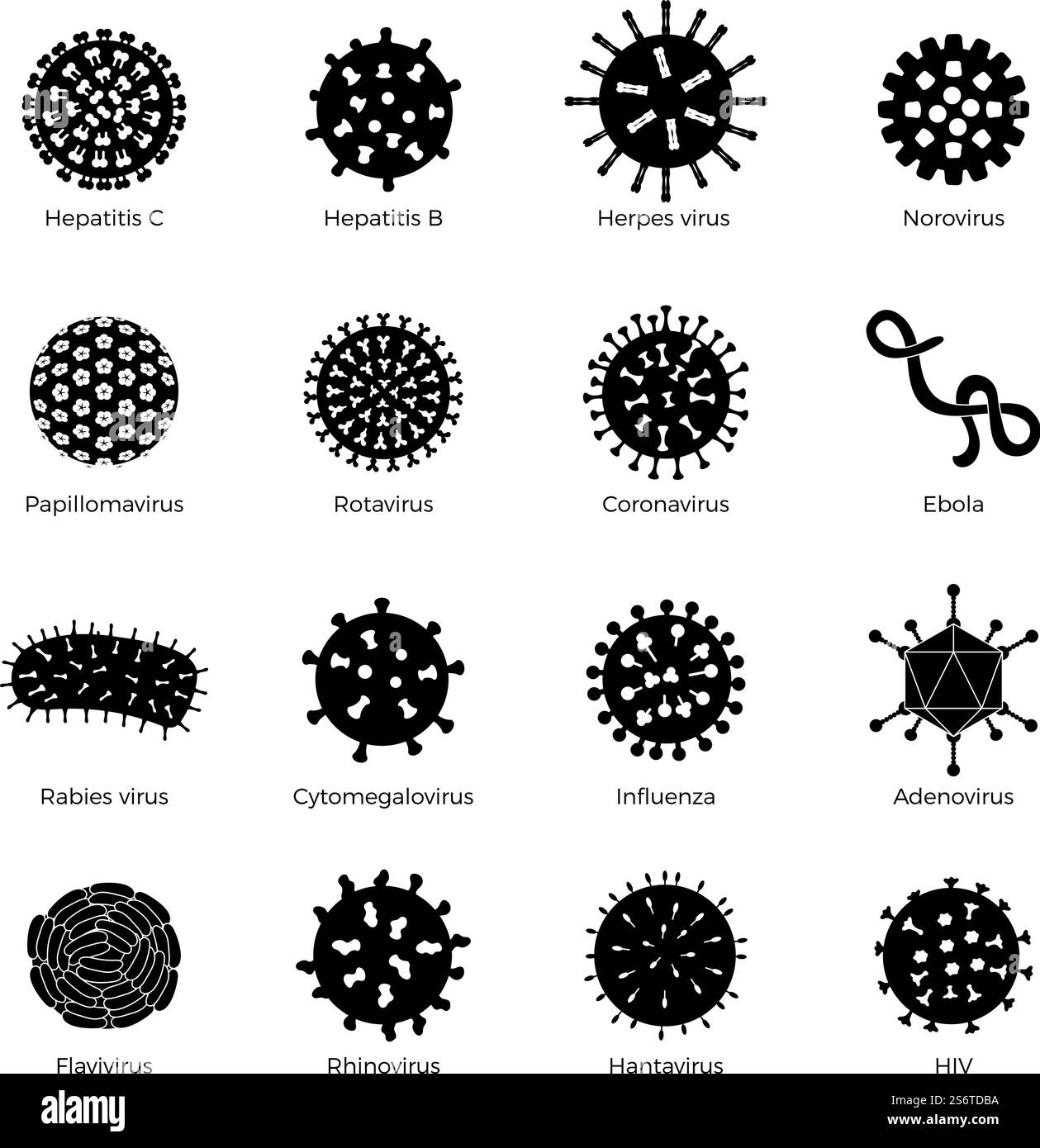 Bakteriensatz. Bacillus Symbole menschliche Mikroben Stempel medizinische Ikonen Mikroorganismus Zeichen Keim neue Vektor Silhouetten Illustrationen Set isoliert. Silhouettenbakterium und Mikroorganismus, Virusmikrobe. Bakteriensatz. Bacillus Symbole menschliche Mikroben Stempel medizinische Ikonen Mikroorganismus Zeichen Keim neue Vektor Silhouetten Illustrationen Set isoliert Stock Vektor