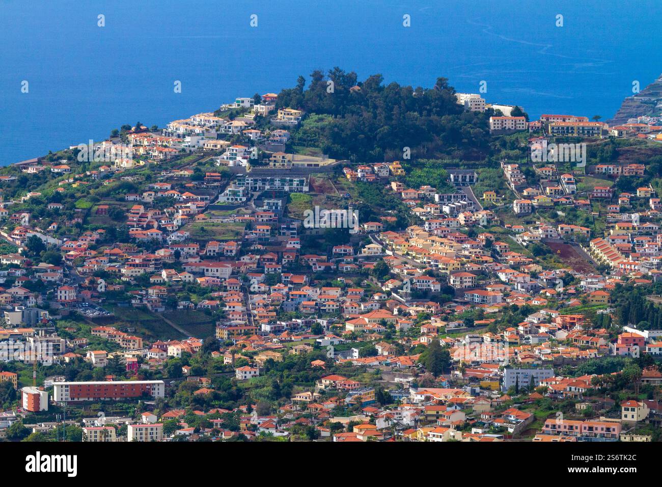 Portugal Insel Madeira, Funchal Stockfoto