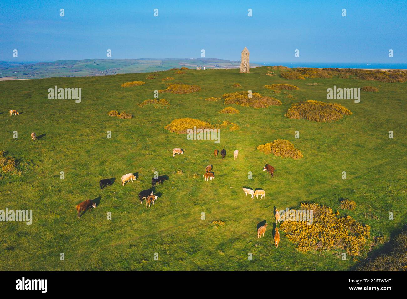 Vereinigtes Königreich, England, Isle of Wight. Katharinenoratorium. Stockfoto