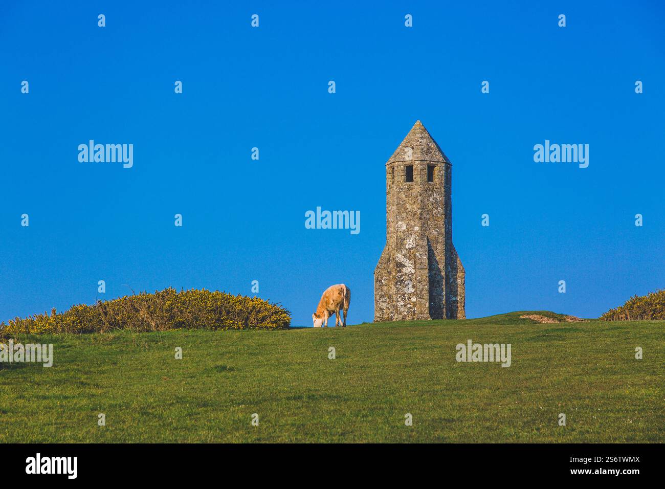 Vereinigtes Königreich, England, Isle of Wight. Katharinenoratorium. Stockfoto