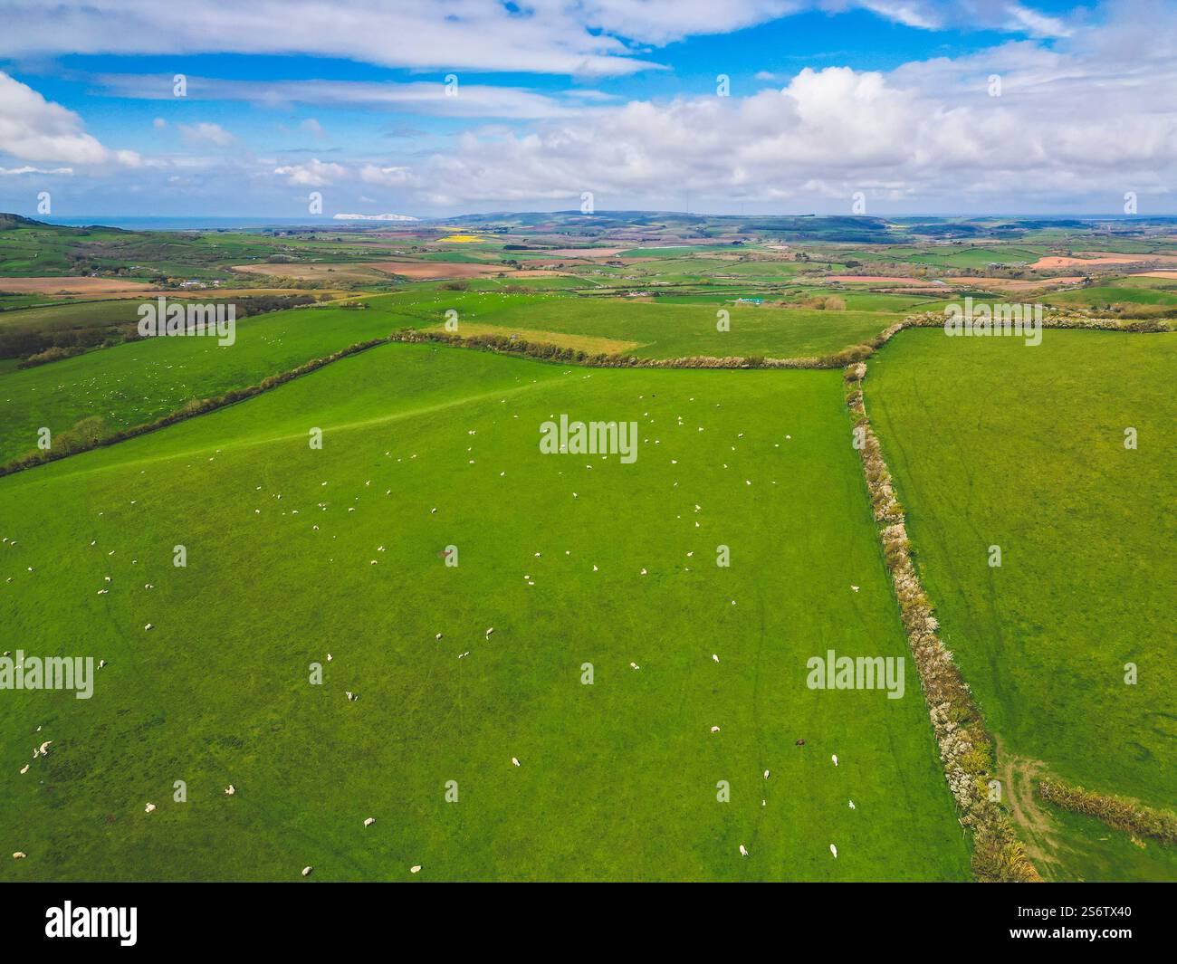 Vereinigtes Königreich, England, Isle of Wight. Bocage-Landschaft Stockfoto