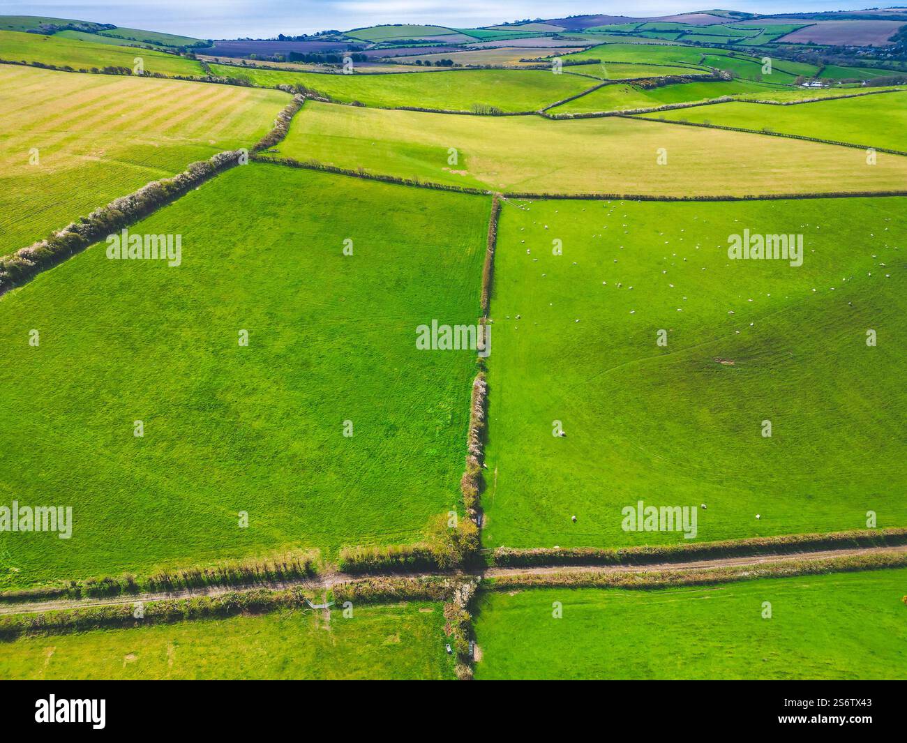 Vereinigtes Königreich, England, Isle of Wight. Bocage-Landschaft Stockfoto