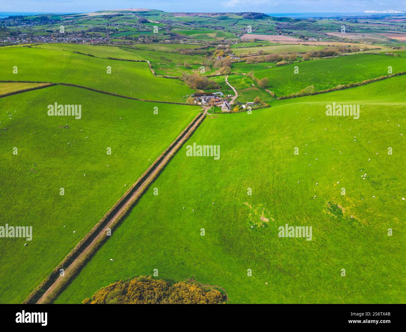 Vereinigtes Königreich, England, Isle of Wight. Bocage-Landschaft Stockfoto