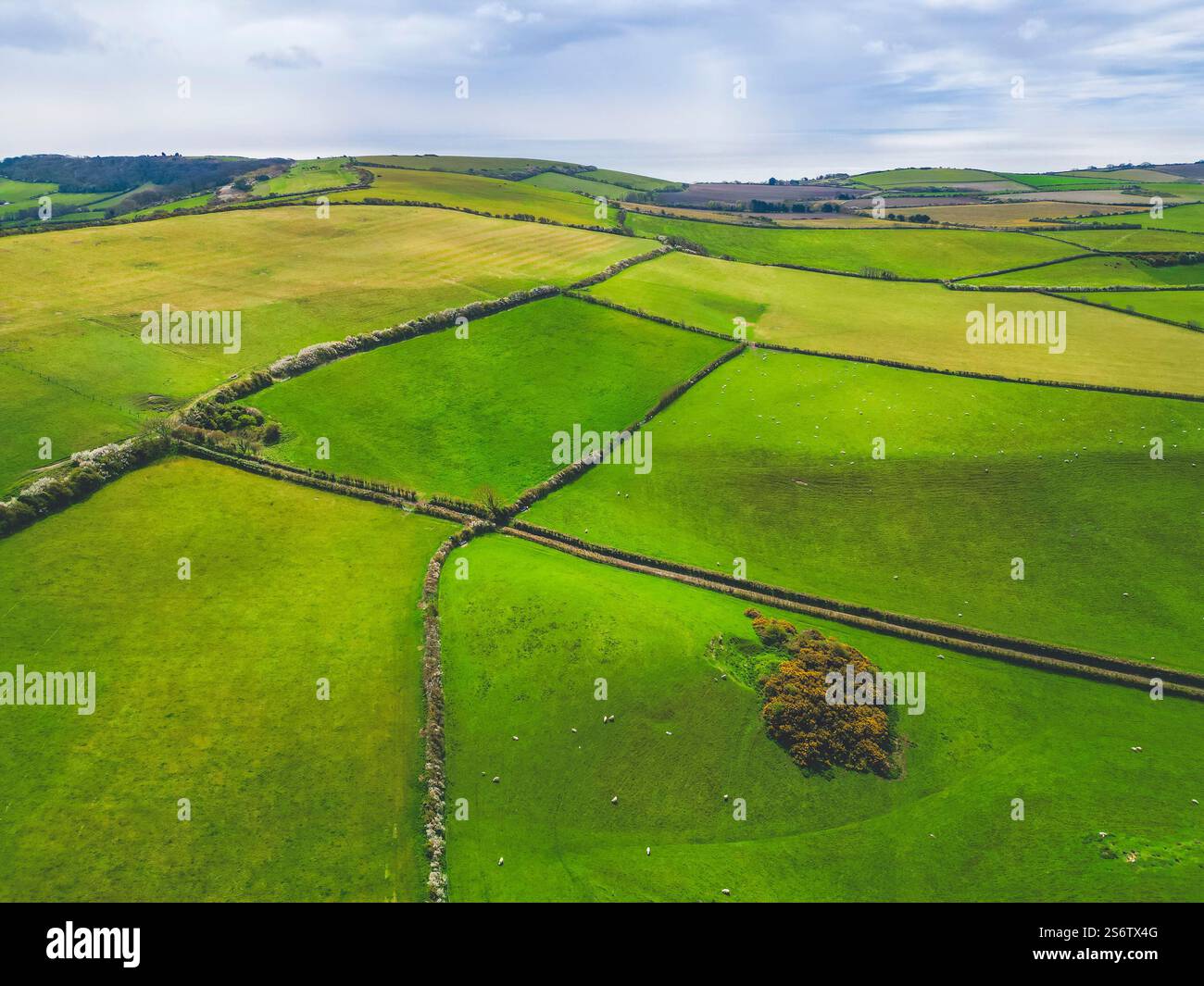 Vereinigtes Königreich, England, Isle of Wight. Bocage-Landschaft Stockfoto