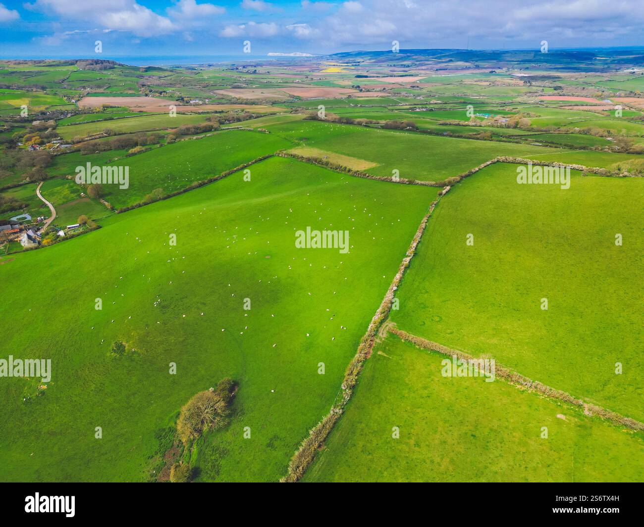 Vereinigtes Königreich, England, Isle of Wight. Bocage-Landschaft Stockfoto