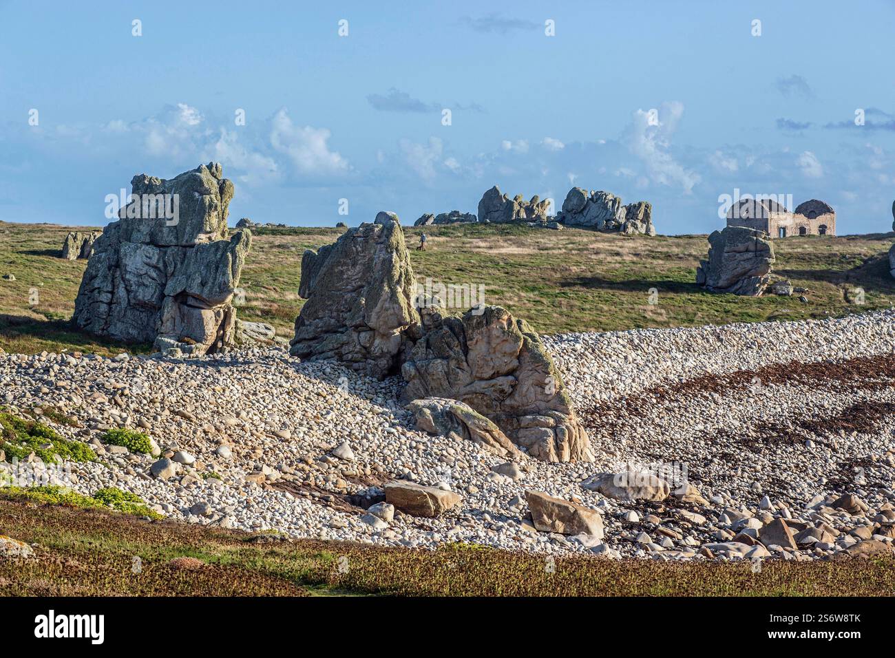 Frankreich, Ile d'Ouessant, 29, nördlich von Pointe de Pern, fossiler Strand aus einer Kette von Kieselsteinen, die vor 1 bis 3,6 Millionen Jahren gebildet wurden. Stockfoto