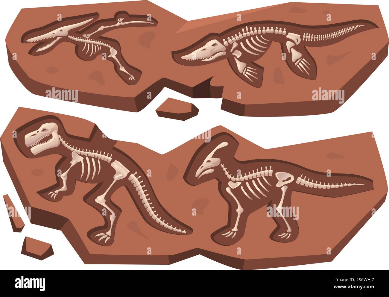 Archäologischer Dinosaurier. Geschichte Schädel alten Felsen Marine Fossil Reptil begraben genaue Vektor Cartoon Set. Illustration der fossilen Paläontologie. Archäologischer Dinosaurier. Geschichte Schädel alten Felsen Marine Fossil Reptil begraben genaue Vektor Cartoon Set Stock Vektor