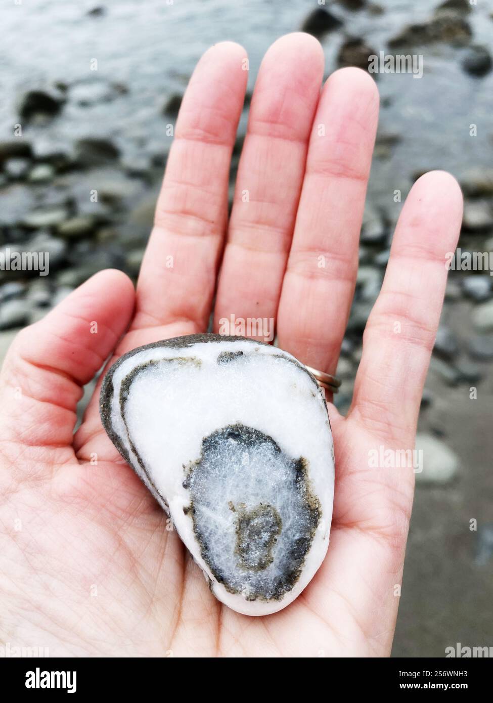 Nahaufnahme einer Hand mit einem wunderschönen Felsen an einem Strand an der Küste Oregons. Stockfoto