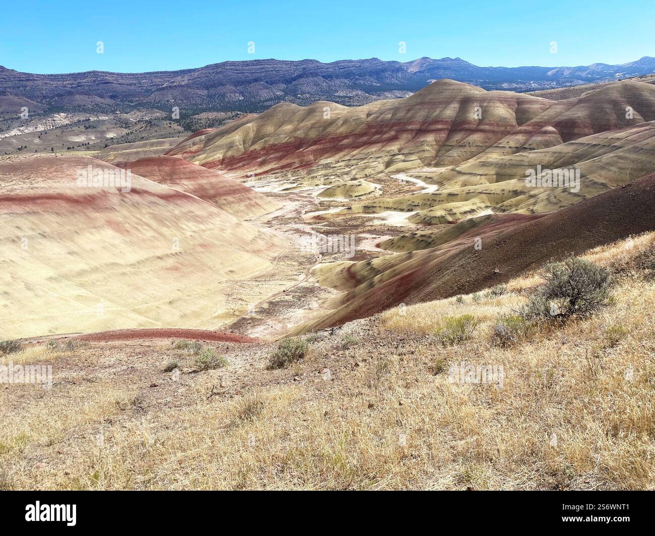 Die Painted Hills in Oregon. Stockfoto