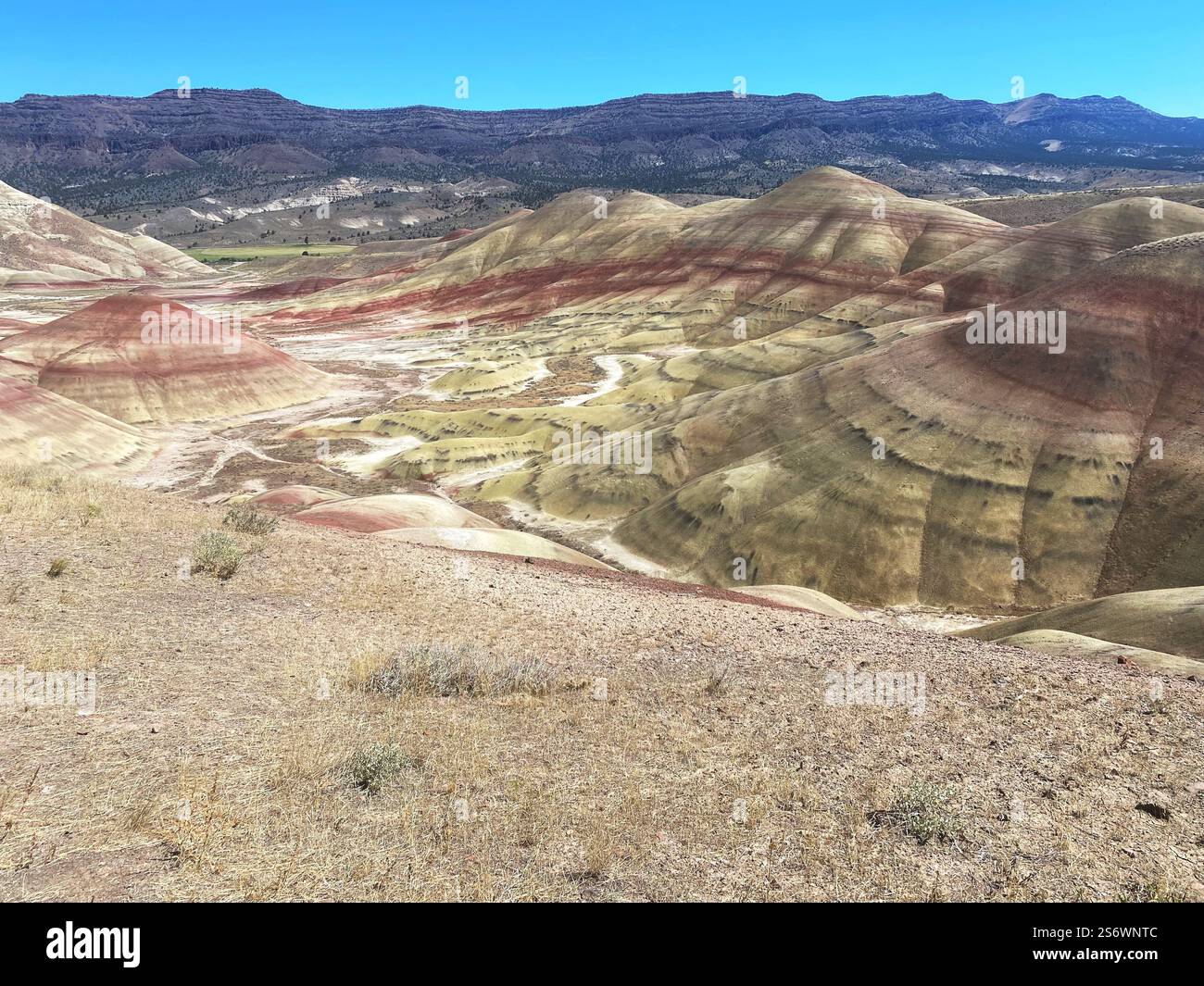 Die Painted Hills in Oregon. Stockfoto