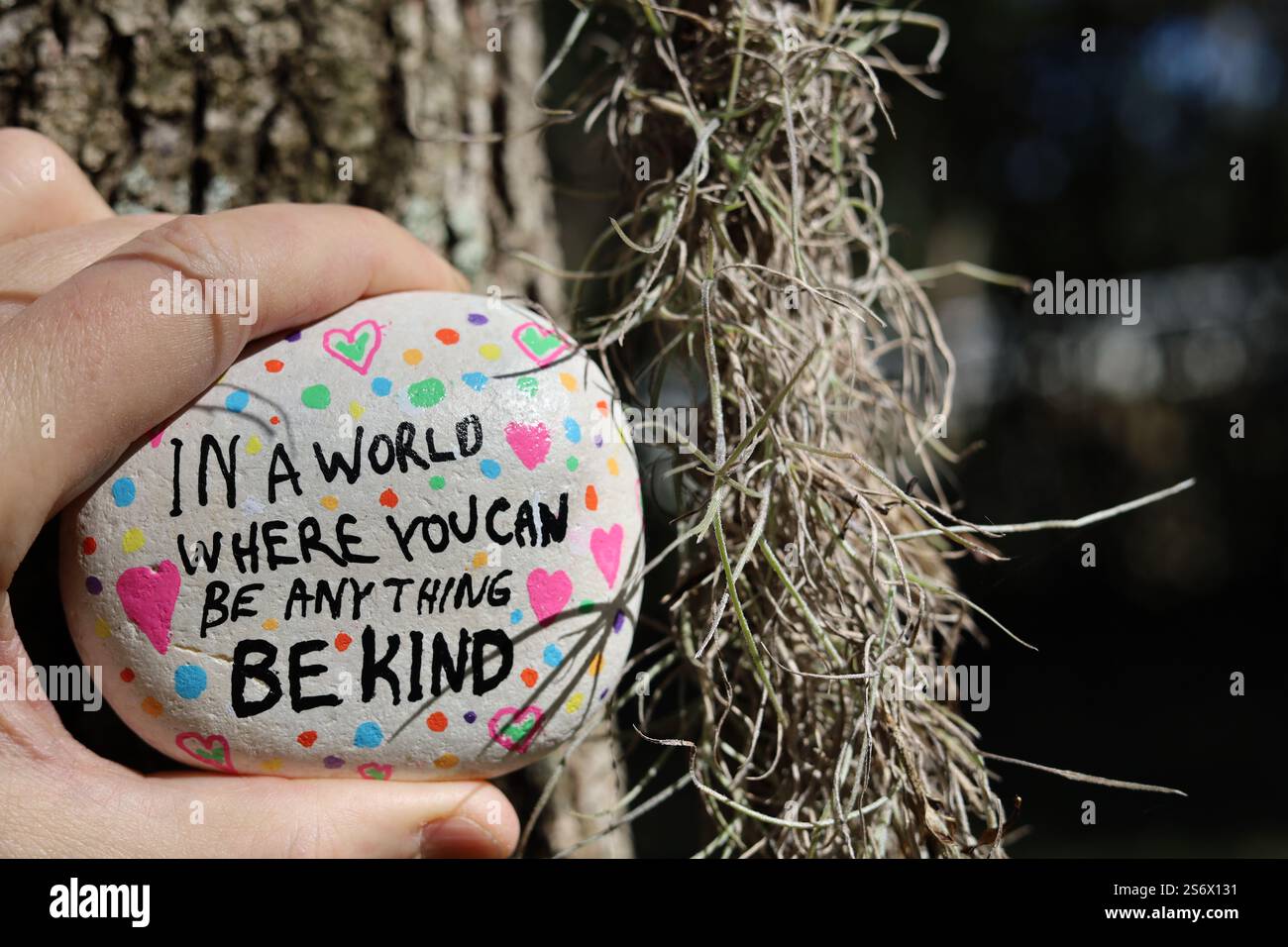 Freundlichkeit Fels- und Bartflechte Stockfoto