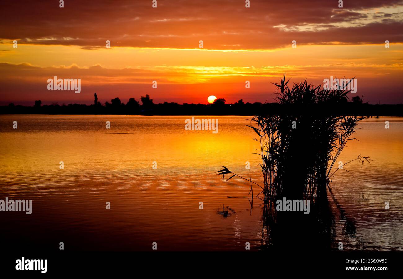 Sonnenaufgang über einem See mit Schilf Stockfoto