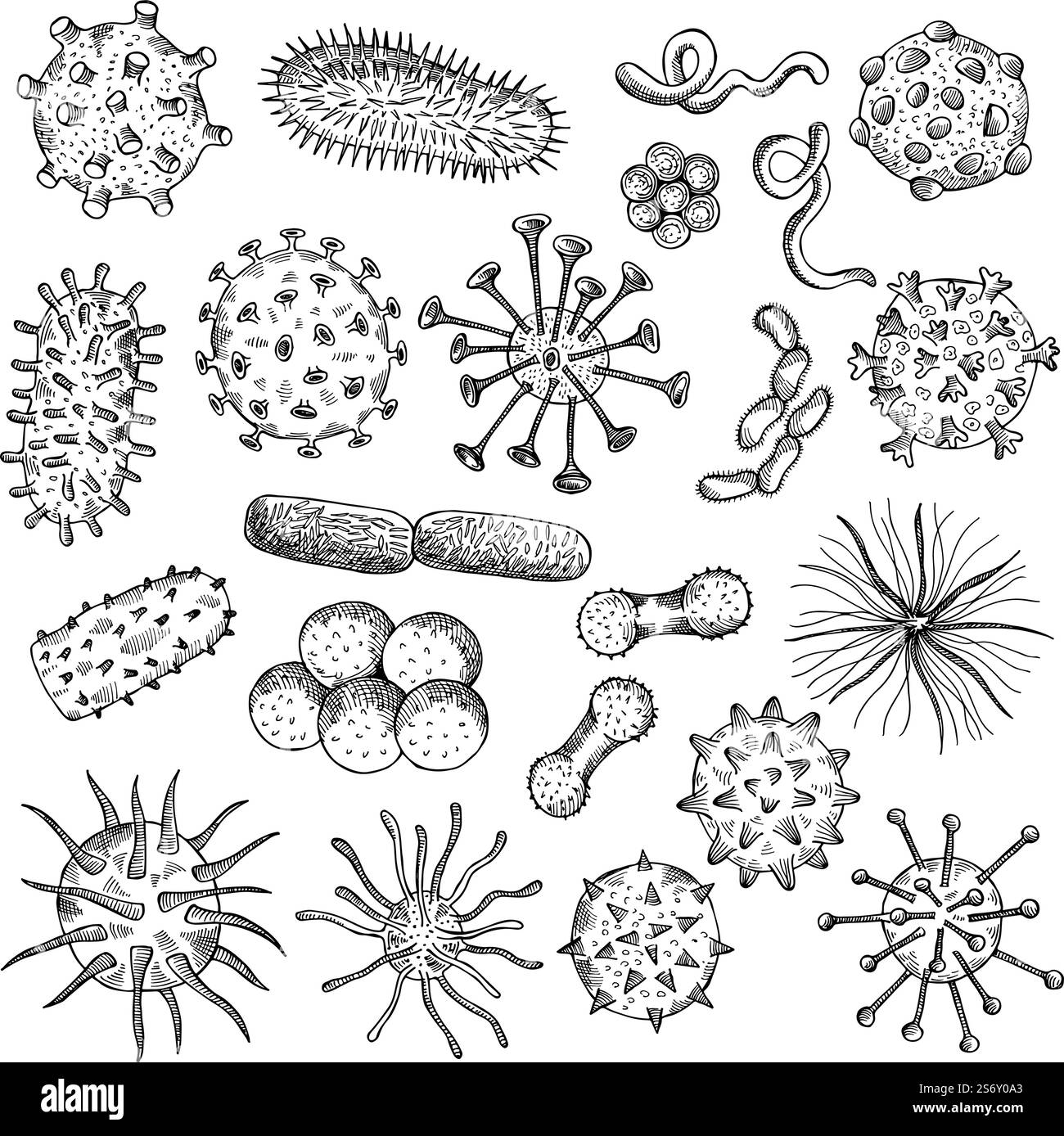Bakterienskizze. Zeichnen von Viren biologische Nahaufnahmemittel covid Typ von Bakterien medizinische Konzept Illustrationen neuere Vektorkritzelbilder Set. Virus und biologisches Organismus Bakterium. Bakterienskizze. Zeichnen von Viren biologische Nahaufnahmemittel covid Typ von Bakterien medizinische Konzept Illustrationen neuere Vektorkritzelbilder Set Stock Vektor